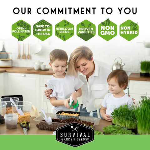 Family planting Indoor Microgreen Seeds Variety Pack With 10 Heirloom Types For Easy At Home Sprouting In 7 To 14 Days