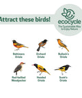 Illustration of various birds that can be attracted with the Durable Recycled Plastic Citrus Sampler Oriole Bird Feeder, including orioles and woodpeckers.