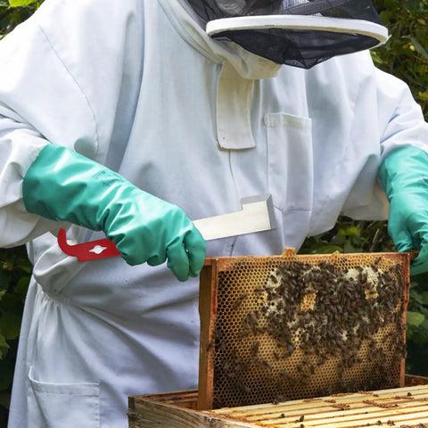 Beekeeper using 2 Pack Stainless Steel J Hook Hive Tools For Beekeeping, 10.6 Inch J Shaped Beekeeper Tools at a hive