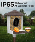 Smart Bird Feeder With Camera For Outdoors Solar Powered Bird House 2K HD Live Video AI Species ID Real Time Alerts 2.4G WiFi Brown