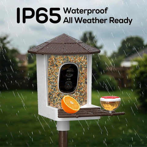 Smart Bird Feeder With Camera For Outdoors Solar Powered Bird House 2K HD Live Video AI Species ID Real Time Alerts 2.4G WiFi Brown