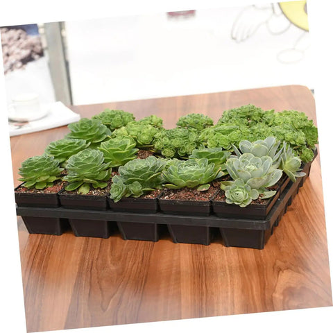 5 Piece Nursery Pot Brackets For Germination And Transplant Breathable Plant Tray Racks For Greenhouse Gardening Space Saving Root Safe Supports Easy To Use Plant Stand For Pots Durable Plastic Design
