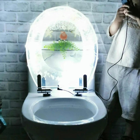 Slick Transparent Dolphin Toilet Seat Featuring Smooth Glide Soft Close Lid Cover And Built In Led Night Light with glowing edge.