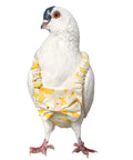 Bird Lover Must Have Pigeon Diaper With Leash for Pigeons Over Five Months Old on white pigeon, banana pattern design.