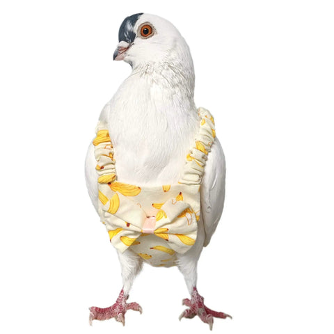 Bird Lover Must Have Pigeon Diaper With Leash for Pigeons Over Five Months Old on white pigeon, banana pattern design.