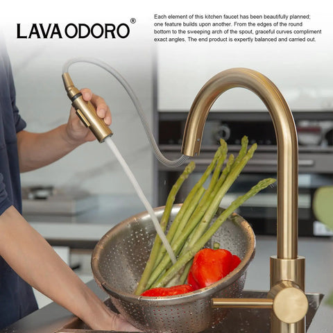 Modern Champagne Gold Kitchen Faucet With Pull Down Sprayer And Dual Function Head, Single Hole Brass Build Deck Plate Included For A Totally Fresh Countertop Glow Up with vegetables in sink.