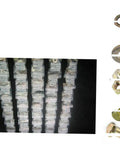 All In One Grade Eight Bolt Nut And Washer Set With Coarse Thread Sizes From One Quarter Inch To Five Eighths Inch for various projects