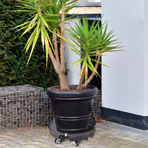 Heavy Duty Plant Caddy With Wheels For Indoor Outdoor Use, showing a large potted plant on a rolling stand with 8 lockable casters, outdoors.