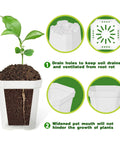 Clear 3 Inch Nursery Pots with Saucers, 30 Pack Thick Plastic Seedling Planter Pots, square-shaped with ventilated drainage holes, ideal for seed starting and office greenery.
