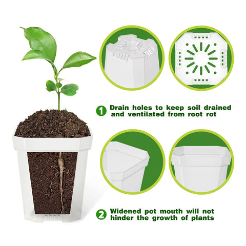 Clear 3 Inch Nursery Pots with Saucers, 30 Pack Thick Plastic Seedling Planter Pots, square-shaped with ventilated drainage holes, ideal for seed starting and office greenery.