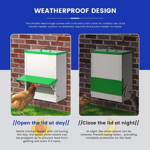 Heavy Duty Metal Chicken Feeder For Backyards with lid for moisture protection and easy access for ducks, quail, and yard chickens.