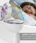 Toilet Seat Elongated Resin for Bathroom Use with floral design, quiet closing feature, installed on standard toilet.