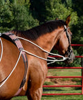 Groundwork And Lunging Gear For Horse Training Black, Built With Stainless Steel Snaps on a brown horse outdoors