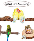 Premium Badass 12 Set Bird Cage Screw Kit with Rock Solid Wing Nuts and Washers, showcasing sturdy perches and playful birds.