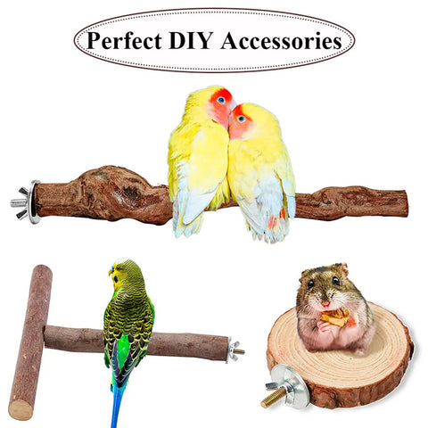 Premium Badass 12 Set Bird Cage Screw Kit with Rock Solid Wing Nuts and Washers, showcasing sturdy perches and playful birds.