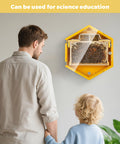Observation Beehive Starter Kit With 3 Frames And 6 Reusable Honeycomb Trays, Wall Mounted Hexagon Beehive With Clear Acrylic Viewing Window