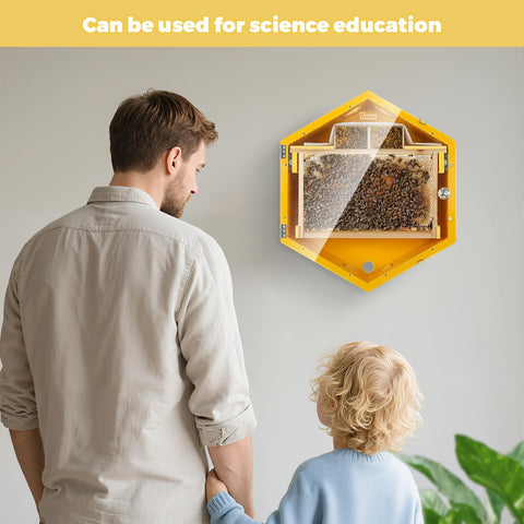 Observation Beehive Starter Kit With 3 Frames And 6 Reusable Honeycomb Trays, Wall Mounted Hexagon Beehive With Clear Acrylic Viewing Window