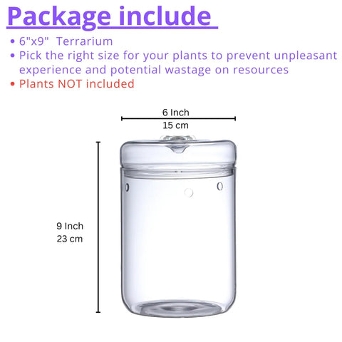 Glass Terrarium Jar With Lid 6x9 Inch Indoor Planter For Succulents Cacti Ferns Moss Reptiles Mini Fairy Moss Cool Tabletop Decoration For Home Office Kitchen Windowsill Garden Decor