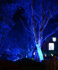 144W RGBW LED Wall Washer With RF Control And Dope Color Changing Indoor Outdoor Lighting illuminating trees in blue light