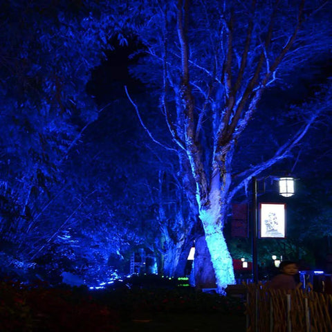 144W RGBW LED Wall Washer With RF Control And Dope Color Changing Indoor Outdoor Lighting illuminating trees in blue light