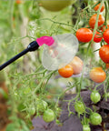 Pro Grade 30 Pack High Pressure Misting Nozzles With Sprayer Guard spraying tomatoes in garden 10cm Diameter Atomizing Nozzle Attachment