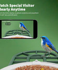 Solar Powered AI Bird Feeder With Camera, 2K HD Live Stream, Instant Arrival Alerts, Identifies 10,000 Bird Species, smartphone view.