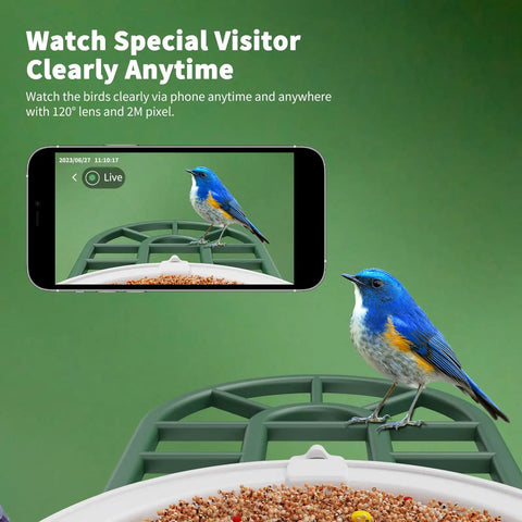 Solar Powered AI Bird Feeder With Camera, 2K HD Live Stream, Instant Arrival Alerts, Identifies 10,000 Bird Species, smartphone view.