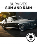 Long Lasting Plastic Restorer For Cars And Interiors Rejuvenates Plastic Rubber And Vinyl Seals In A Rich Finish Safe On All Surfaces