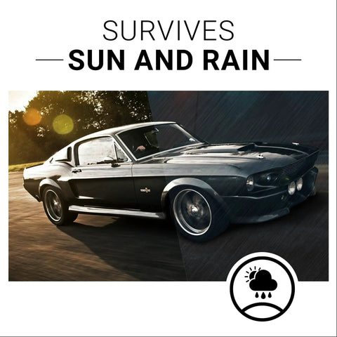 Long Lasting Plastic Restorer For Cars And Interiors Rejuvenates Plastic Rubber And Vinyl Seals In A Rich Finish Safe On All Surfaces
