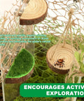 Premium Seven Piece Jumping Spider Habitat Decor Kit Featuring Natural Wood Platforms with a spider on a platform and braided rope.