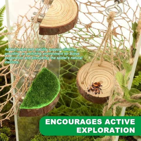 Premium Seven Piece Jumping Spider Habitat Decor Kit Featuring Natural Wood Platforms with a spider on a platform and braided rope.