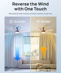 Next Level Smart Ceiling Fan With Lights 52 Inch Black for smart home cooling, reversible DC motor summer and winter modes