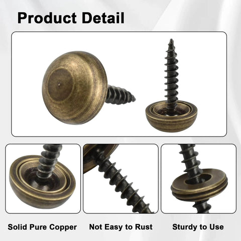 Brass Decorative Screws With Caps For Wall Hangings And Eyewear Self Tapping Fasteners With Cap Covers 15mm Bronze set