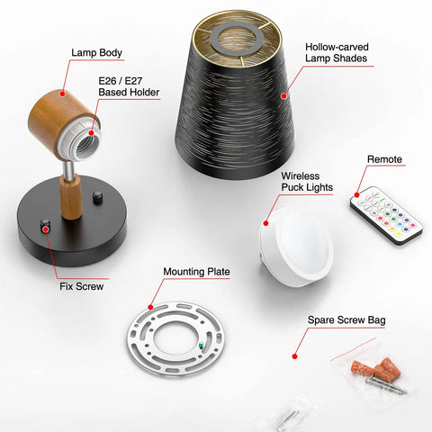Components of Two Pack Plug In Dimmable RGB White Wall Lights With Smart Bulb And Switch Control Easy App Control