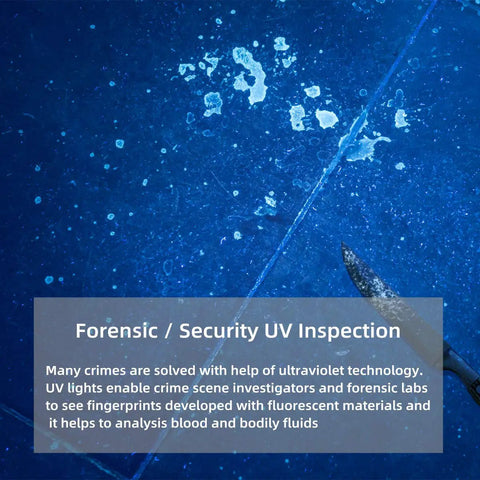 Image showing forensic UV inspection with Super Handy Stainless Steel 365nm Uv A Blacklight Flashlight for detecting stains.