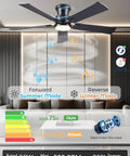 Black Flush Mount Ceiling Fan With Lights, Low Profile Design, DC Reversible Motor, 6 Speeds, Modern Indoor Use