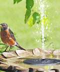 Bird next to 2-Pack 1.5W Solar Powered Bird Bath Fountain Pump Kit With Six Nozzles, Eco Friendly Solar Water Pump, Black, no cords