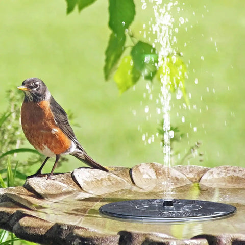 Bird next to 2-Pack 1.5W Solar Powered Bird Bath Fountain Pump Kit With Six Nozzles, Eco Friendly Solar Water Pump, Black, no cords