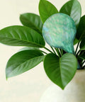 Green glass watering globe in plant showing Six Pack Colorful Glass Plant Watering Globes For Indoor Pots And Outdoor Hanging Plants Self Watering Bulbs For Vacation Plant Care No Fuss Drip Irrigation System Easy Garden Patio Watering Solution.