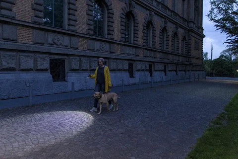 Person walking dog at night using Bright 450 Lumen Focusable Flashlight With 300m Long Range Beam, 4x AAA Battery Powered