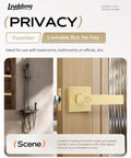 Keyless Privacy Door Knob In Brushed Gold, Heavy Duty Interior Door Lock For Bedroom And Bathroom shown on wooden door