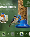 Outdoor Hanging Mealworm Tube Bird Feeder With Wide Perch Squirrel Chew Proof Easy Refill And Clean Metal Construction Great For Bluebirds Robins Wrens Chickadees All Season Backyard Birding shown with small bluebird perched on feeder.