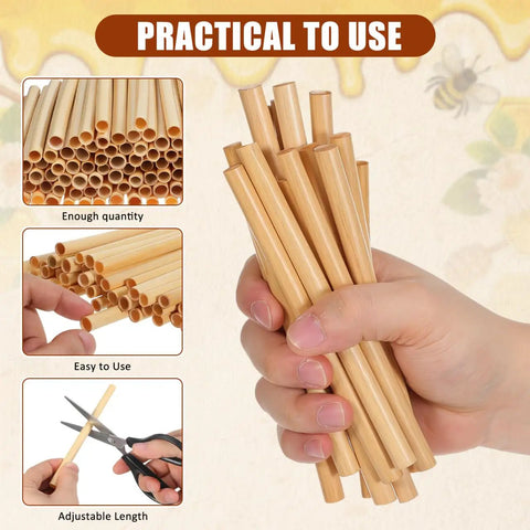 Hand holding Mason Bee Tubes 300 Pack 6 Inch Pollinator Tubes For Beekeeping Outdoor Nesting Tubes Replacement Reed Habitat