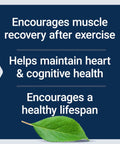 Text highlights benefits of Lithium Orotate 1000 Mcg And Taurine 1000 Mg Supplement for brain, heart, and muscle health support.