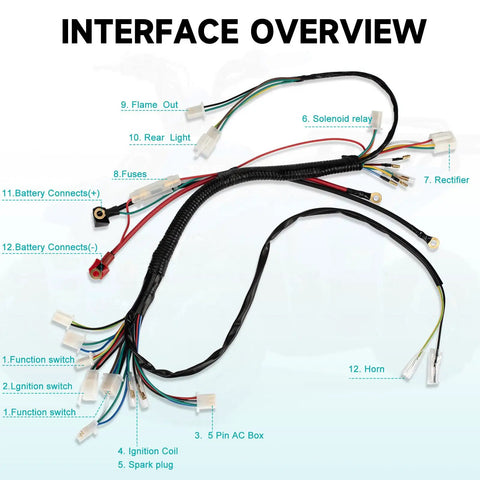 Interface overview of All In One ATV Wiring Harness Kit For 50cc 70cc 90cc 110cc 125cc Quads And Go Karts With 6 Pole Stator CDI