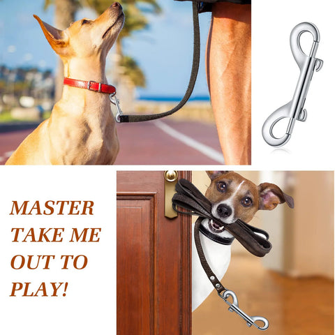 Front view: dog with red collar on leash; close-up of silver BBTO 4.7-inch zinc-alloy double-ended bolt snap clip.