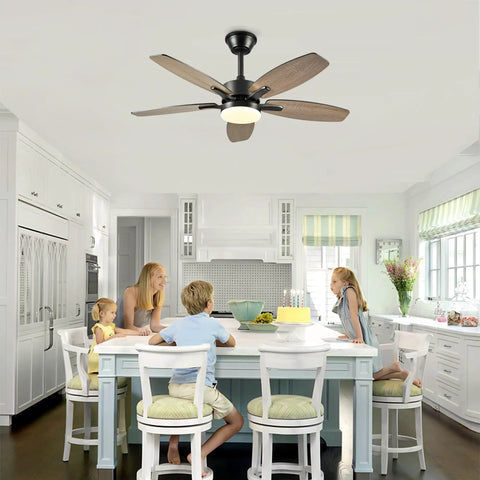 Neojoyoenix 42" 5PCS Plywood Blades Ceiling Fan with Lights Remote Control,Quiet DC Motor s 6 Speed Levels,Reversible,for Patio Living Room, Bedroom, Office,Indoor.(Matte Black) in kitchen with family