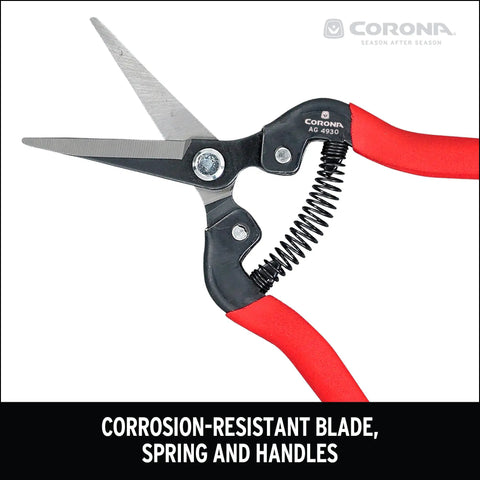 Long Straight Pruning Snip With Precision Narrow Tempered Steel Blades For Clean Cuts In Delicate Flowers Herbs And Veggies A Dope Tool For Deadheading Thinning And Harvesting Without Bruising with red handles and black spring mechanism