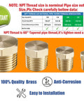 Brass Hex Pipe Plug Fittings Kit 24 Piece Set With NPT Male Threaded Plugs for various metal pipe sizes shown with specifications chart