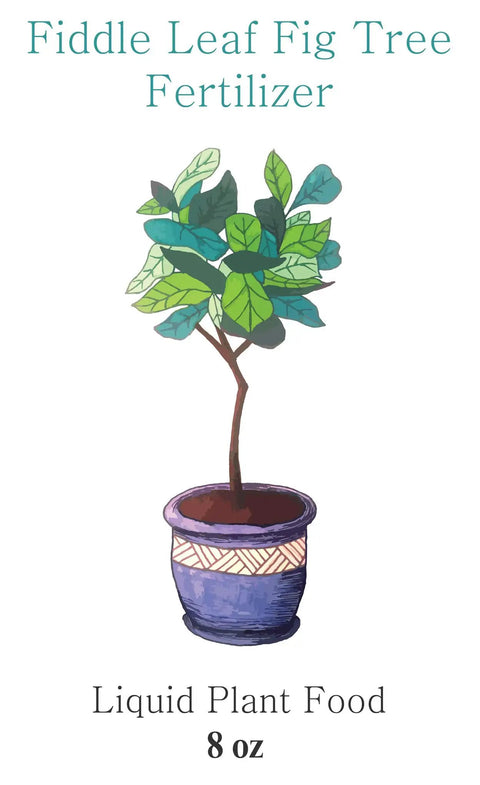 Illustration of 8 oz Fiddle Leaf Fig Tree Fertilizer Liquid Plant Food, designed for indoor ficus plants to boost growth.